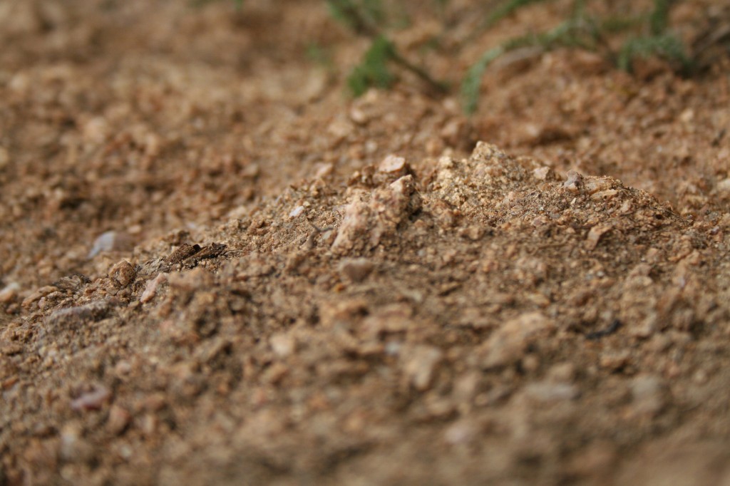 Background___Dirt_by_chromostock